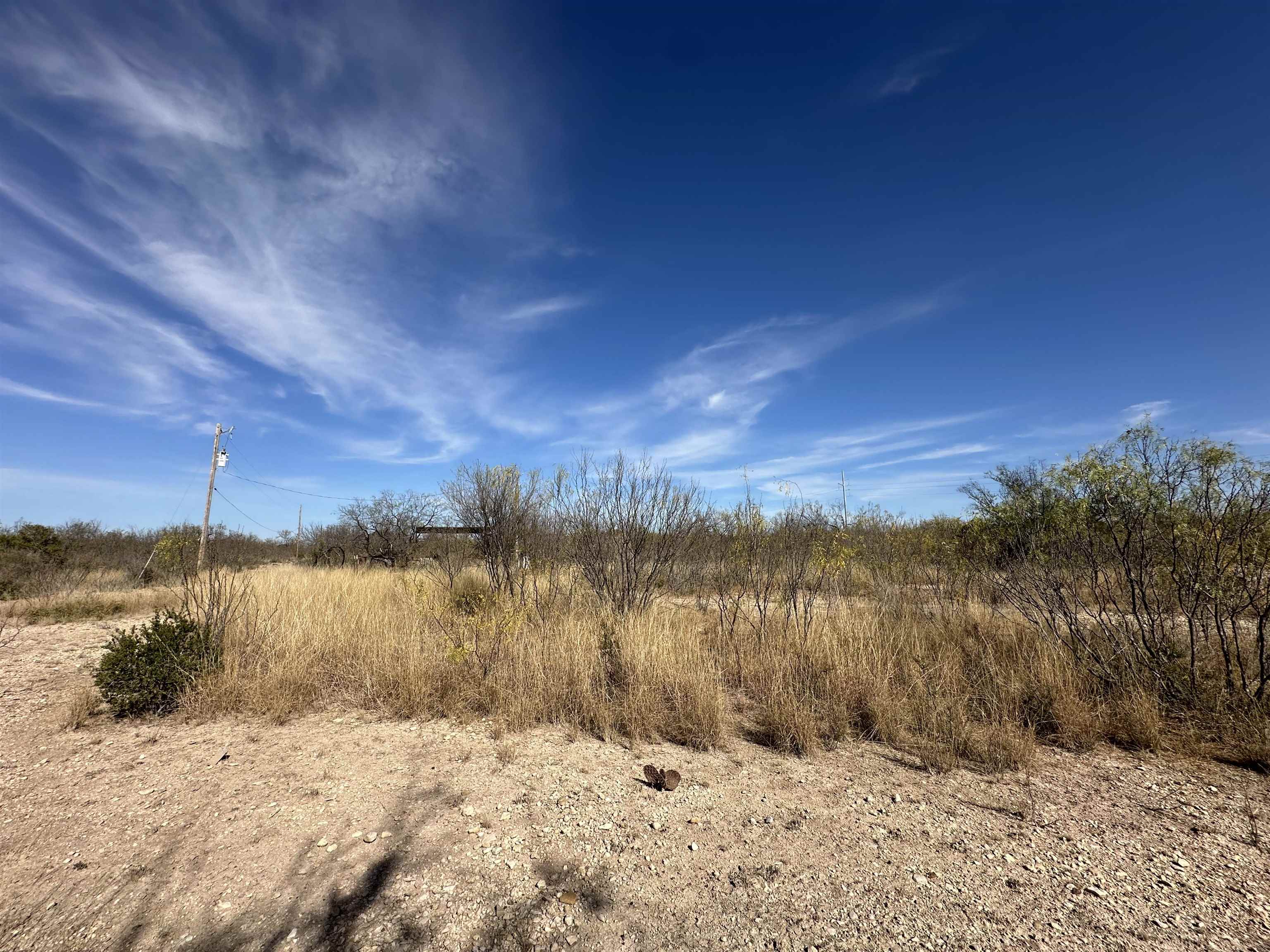 Image 18 of 25 For 529 Harness  