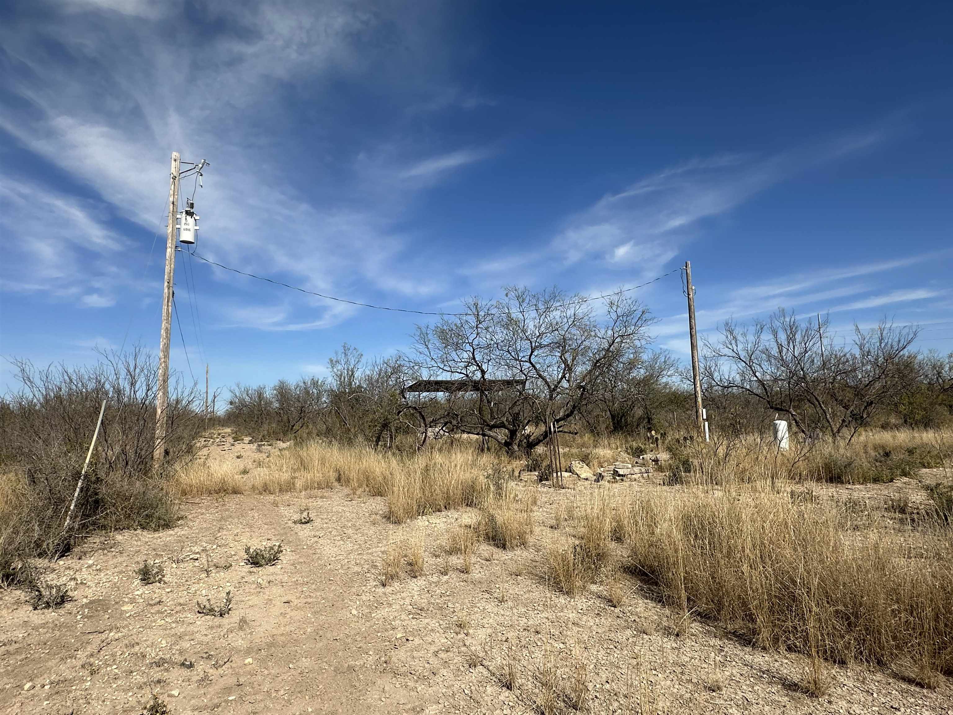 Image 20 of 25 For 529 Harness  