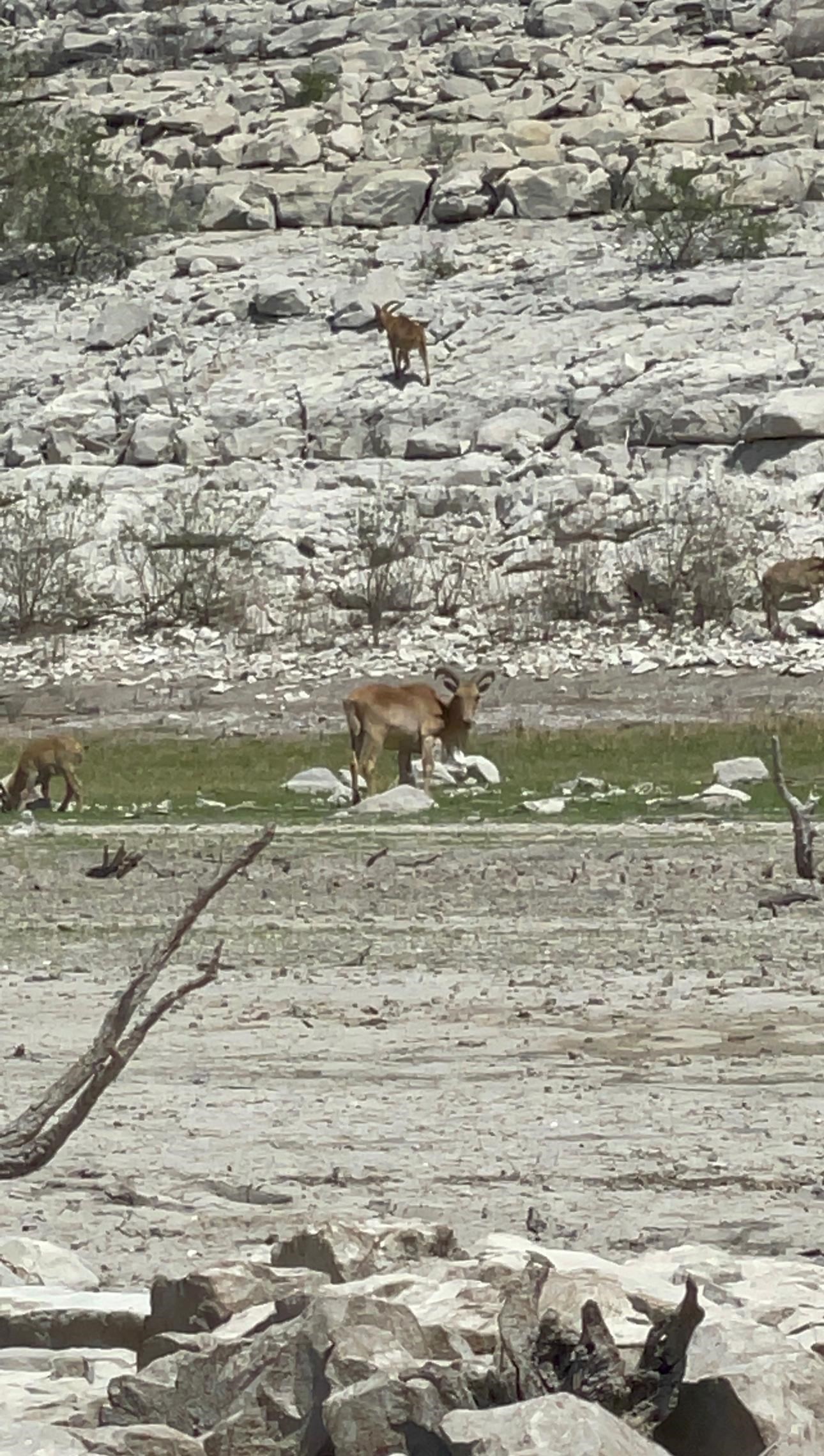 Image 44 of 47 For 6748 Texas Road #2