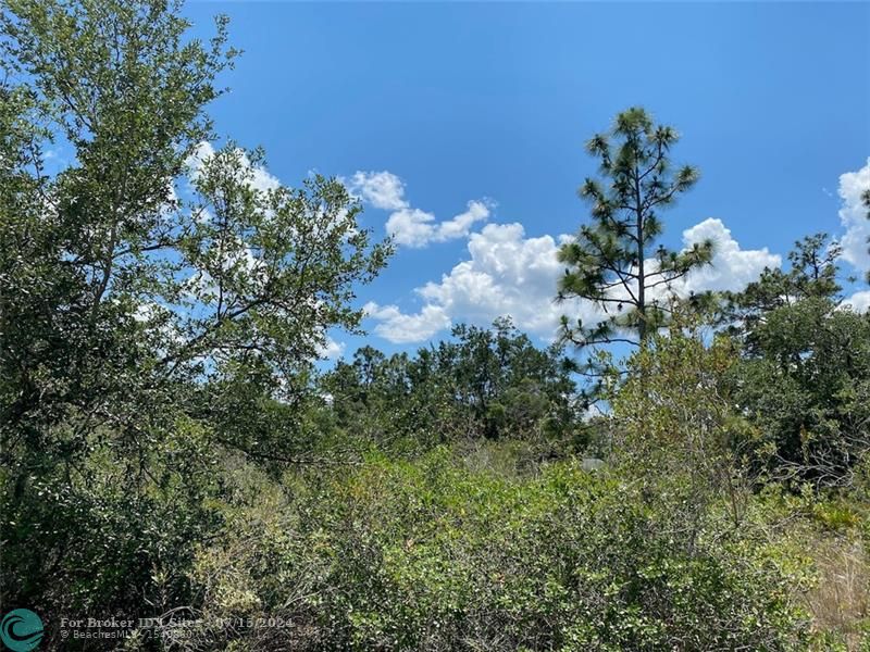 Lot 24 Blk 116 Indian Lake Drive