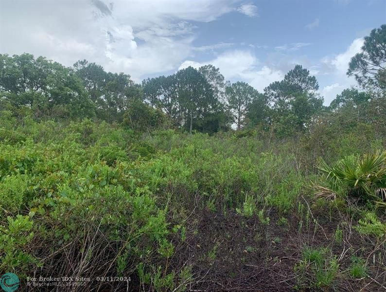 Details for 4105 Nogales Ave, Other City In The State, FL 33872