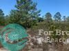 Listing Details for 2918 Gaffney Rd, Other City In The State, FL 33825