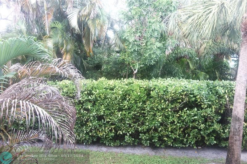 Image 40 of 55 For 639 Oakland Park Blvd  207d