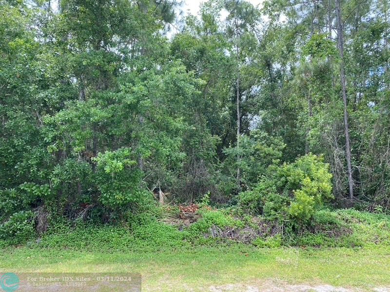 Details for Lot 5 Allamanda Drive, Other City In The State, FL 33855