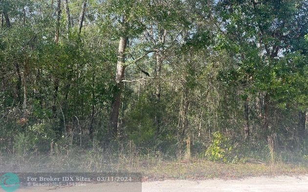 Listing Details for 0 Undetermined, Other City In The State, FL 32179