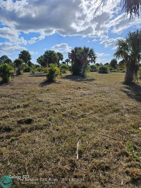 Details for 20966 262nd St, Okeechobee, FL 34972