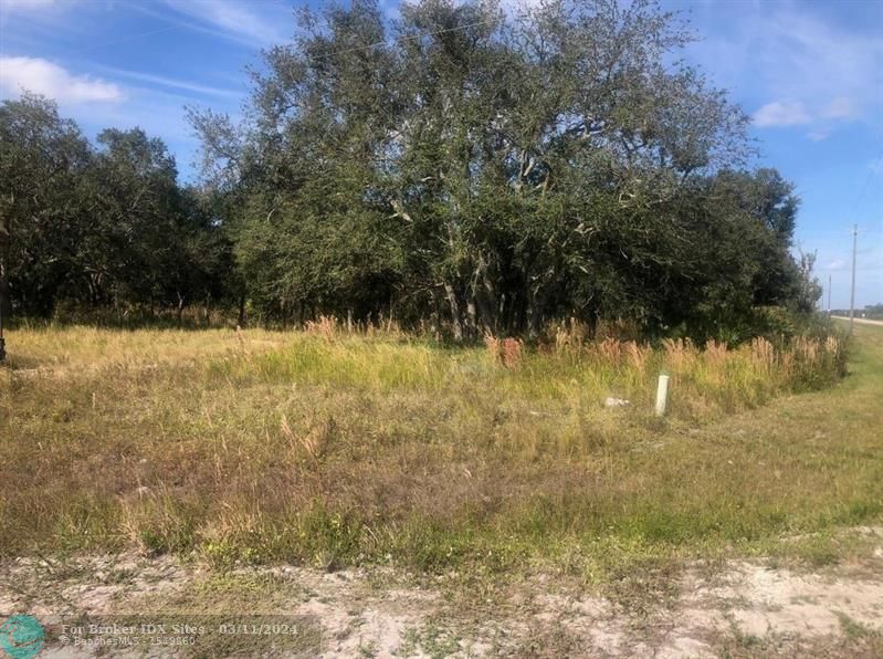 Details for 0 Polk City Rd, Other City In The State, FL 33868