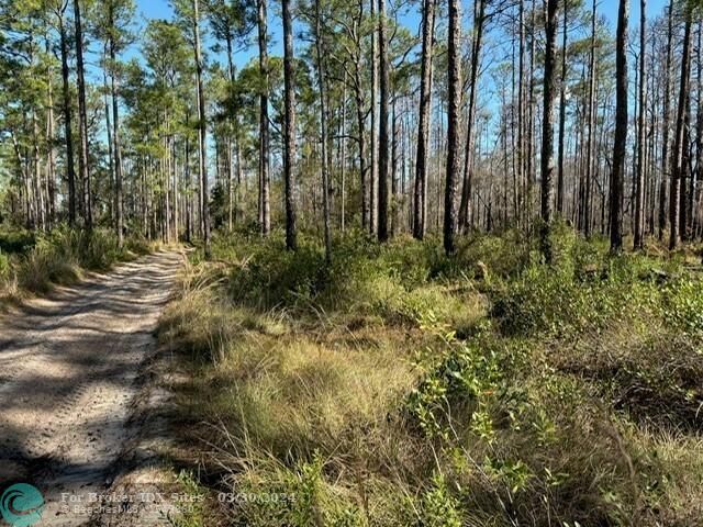 Details for 0 Hwy 630  , Other City In The State, FL 33859