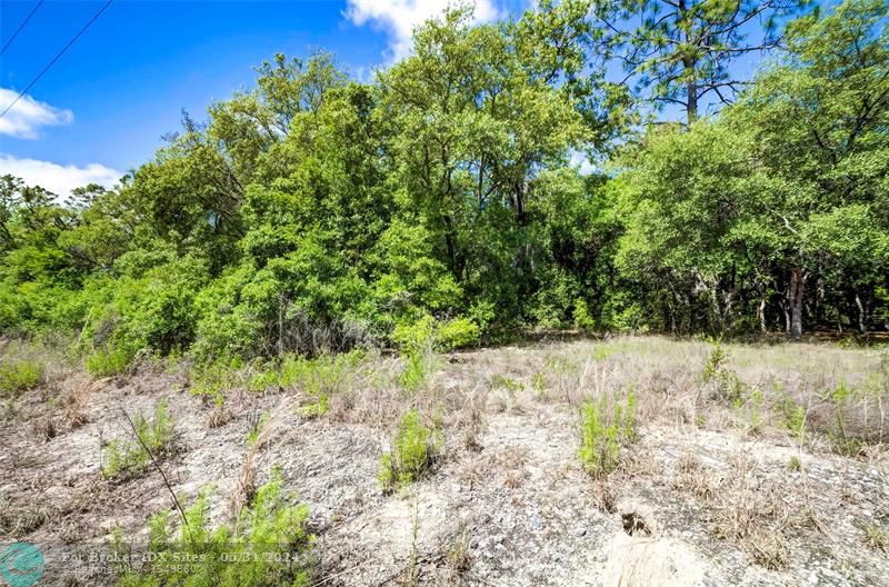 Details for Tbd Pineapple Hill Drive, Other City In The State, FL 34431