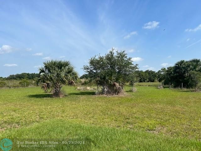 Details for 17229 314th  , Okeechobee, FL 34972