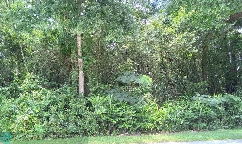 Details for Tbd 138th Place, Belleview, FL 34491