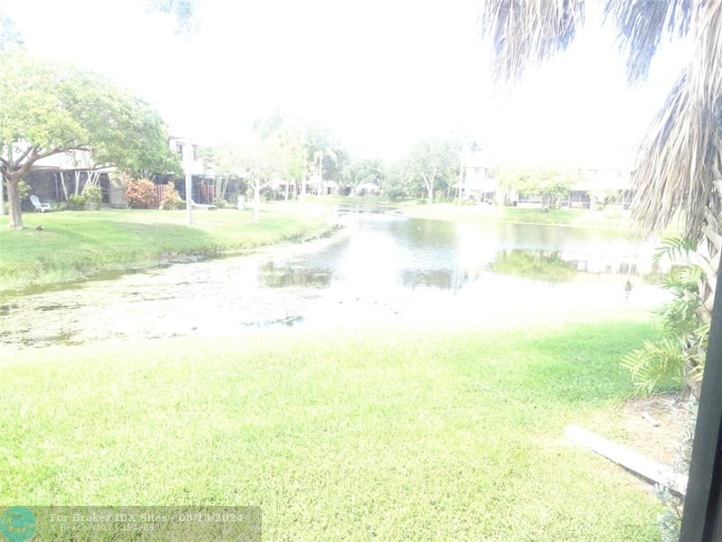 Image 12 of 37 For 3340 Carambola Cir  3340