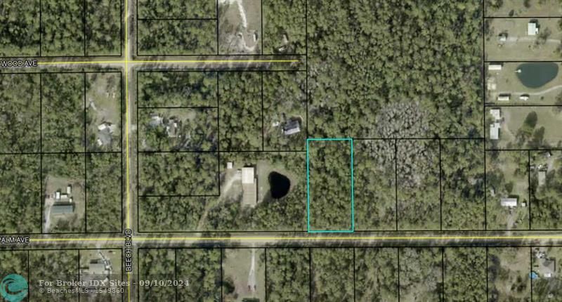 Listing Details for 5326 Palm Ave, Bunnell, FL 32110