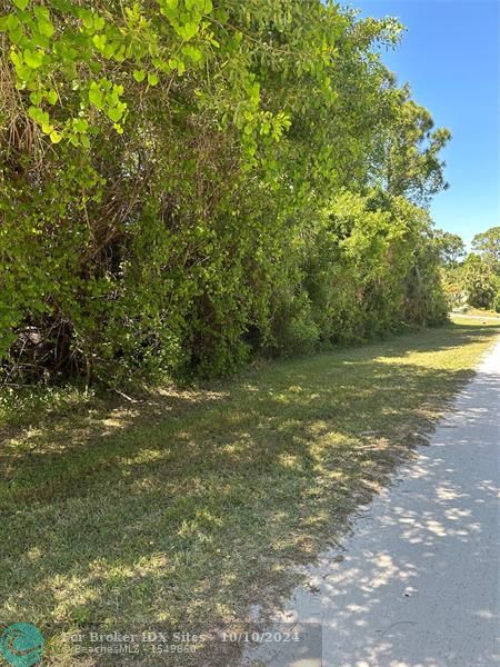 Listing Details for Tbd 144th Ave, Williston, FL 32696