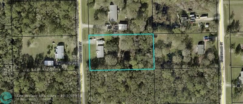 Listing Details for 1167 Honeytree, Bunnell, FL 32110