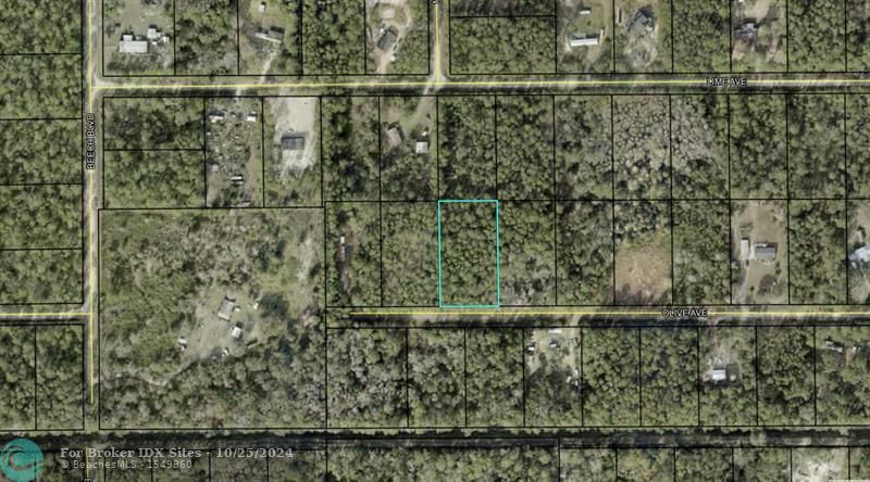 Listing Details for 5274 Olive Ave, Bunnell, FL 32110