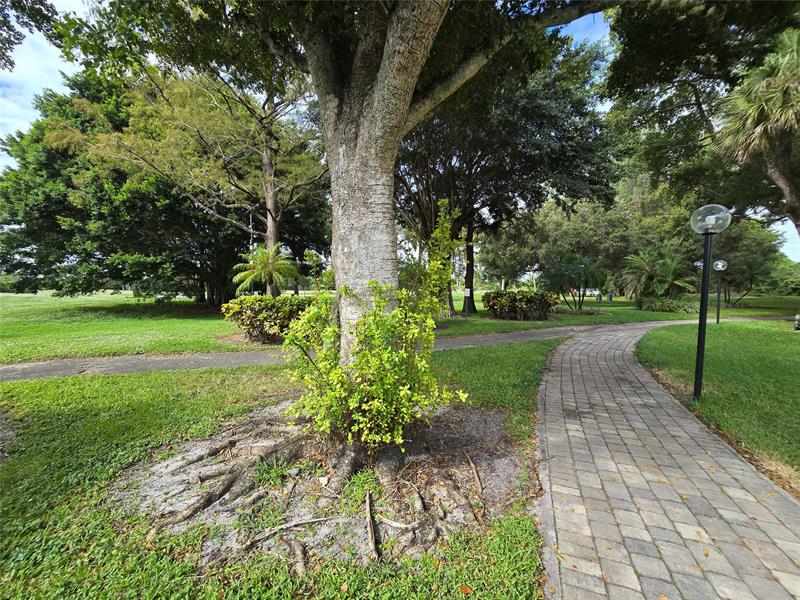 Image 66 of 66 For 6200 44th St  301