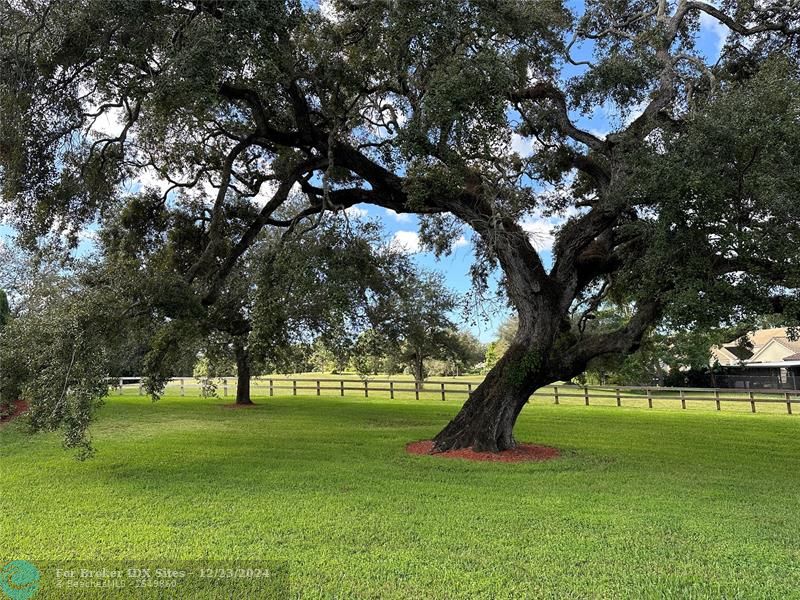 Image 35 of 48 For 9243 Arborwood Circle