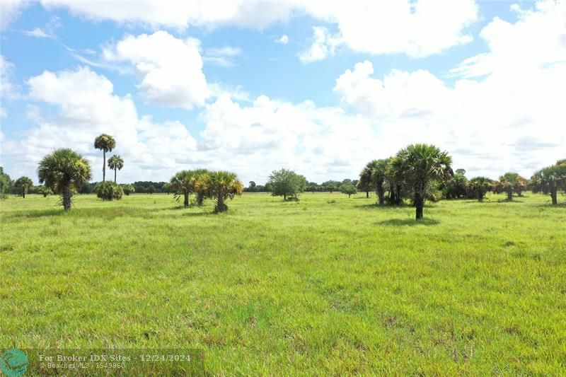 Image 8 of 39 For 15501 County Road 832