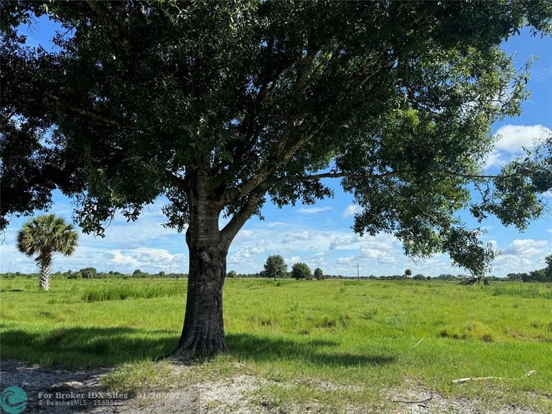 Details for 18025 260th St, Basinger, FL 34972