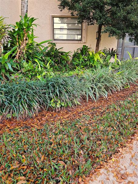 Image 22 of 30 For 10401 Broward Blvd  102