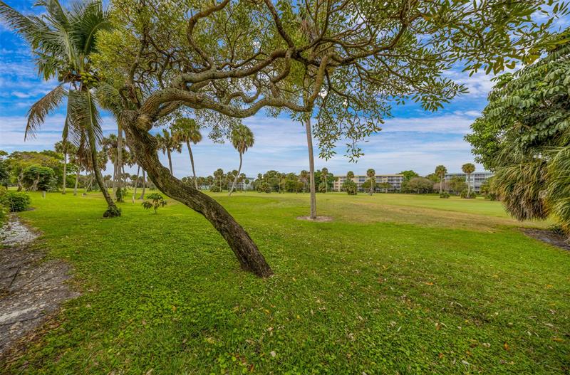 Image 38 of 38 For 905 Cypress Ter  202