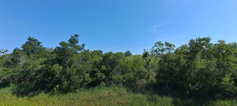 Image 10 of 15 For 19264 264th St