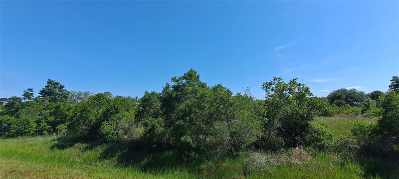 Image 12 of 15 For 19264 264th St