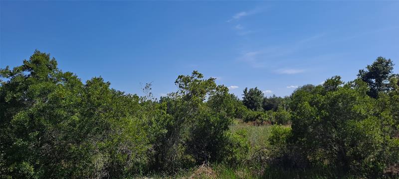 Image 13 of 15 For 19264 264th St