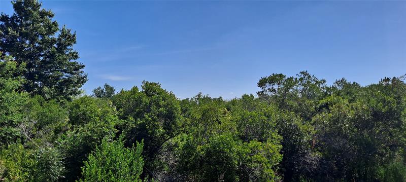 Image 14 of 15 For 19264 264th St