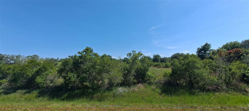 Image 15 of 15 For 19264 264th St