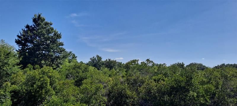 Image 4 of 15 For 19264 264th St