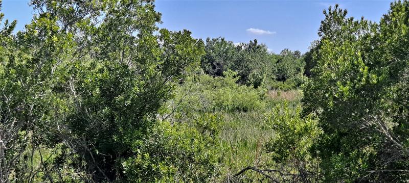 Image 5 of 15 For 19264 264th St