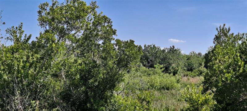 Image 6 of 15 For 19264 264th St