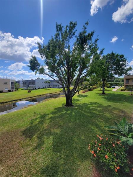 Image 39 of 39 For 480 Capri J  480