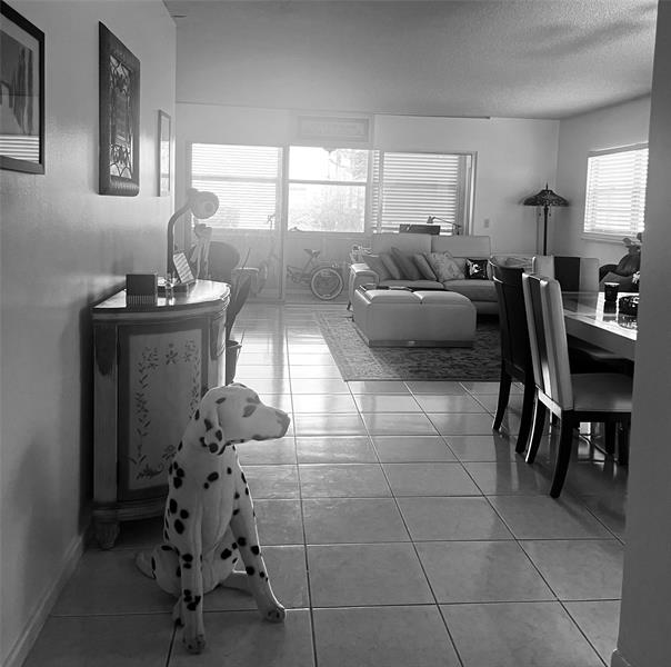 Image 3 of 22 For 800 125th Way  112 O