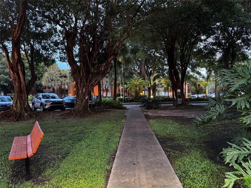 Image 31 of 43 For 10701 Cleary Blvd  306