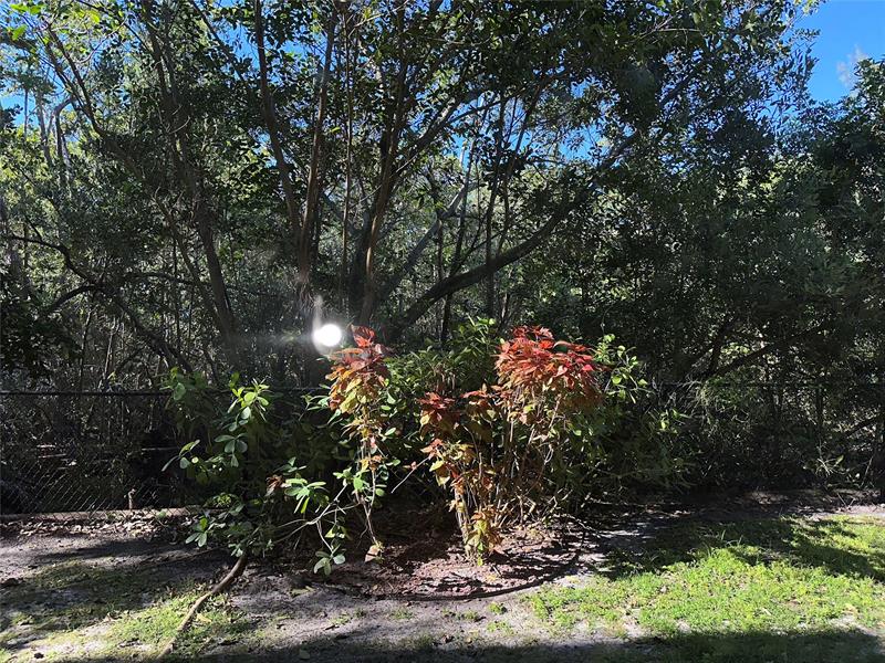 Image 10 of 10 For 529 Sheridan St  108