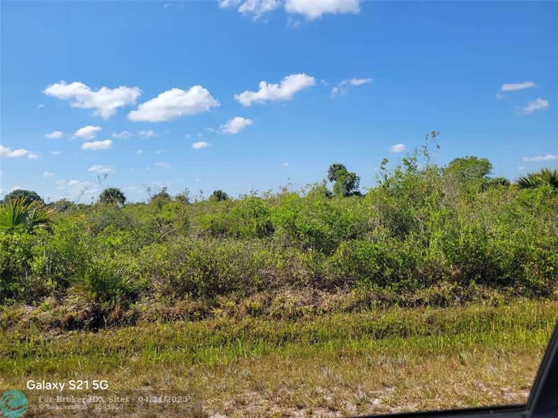 Details for 20220 278th Street, Okeechobee, FL 34972