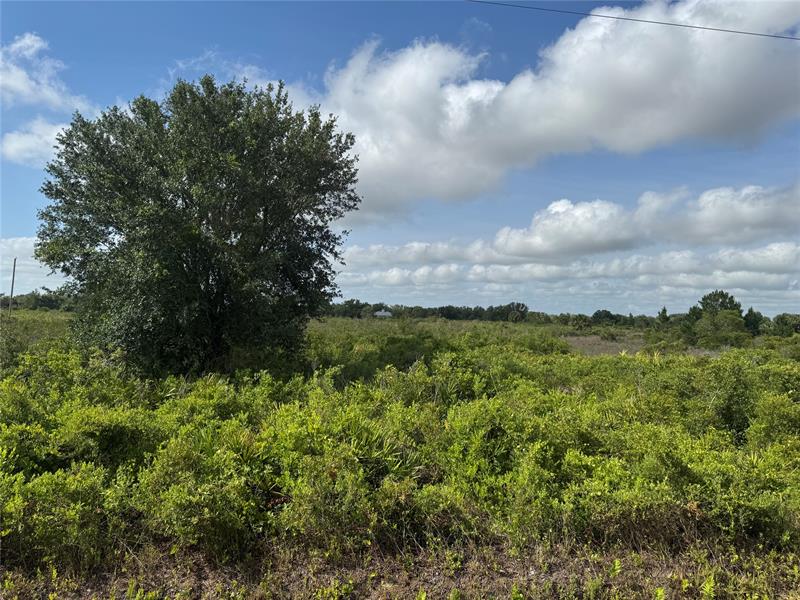 Details for 21434 278th St, Basinger, FL 34972