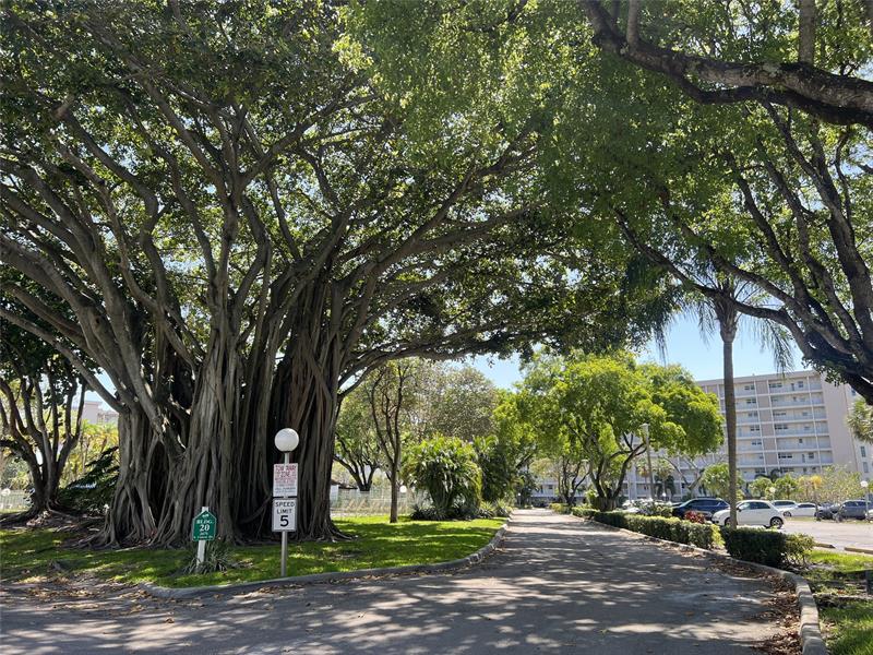 Image 20 of 20 For 2671 Course Dr  105