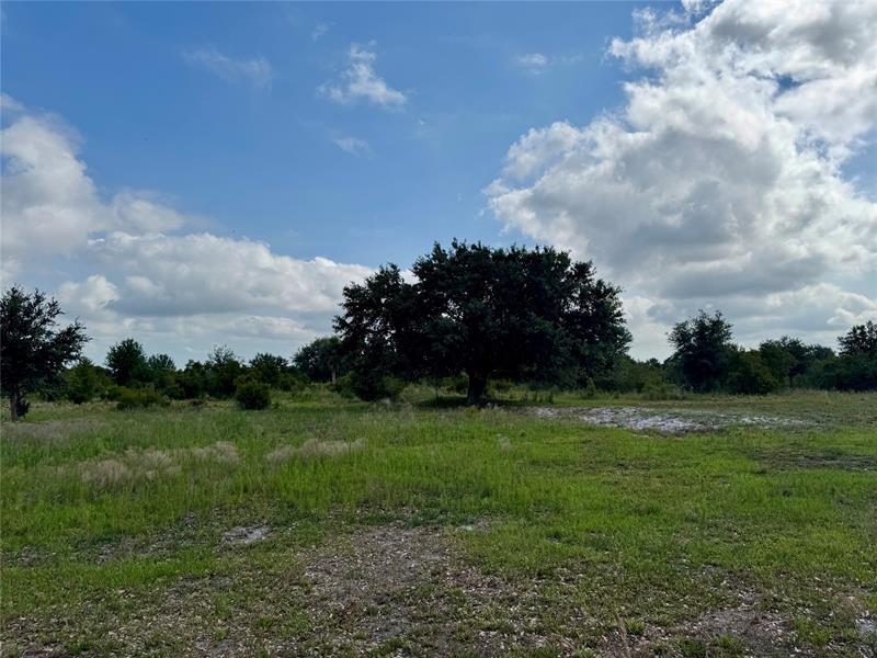 Details for Tbd 316th St, Basinger, FL 34972