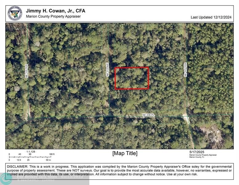Details for Lot 113 Ave  , Fort Mc Coy, FL 32134