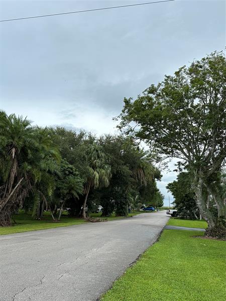 Image 6 of 6 For 37055 Canal St