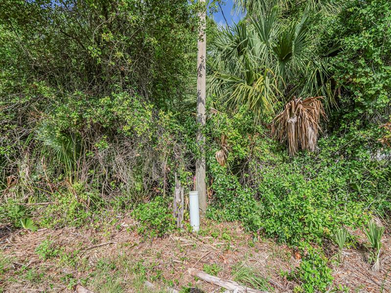 Image 11 of 22 For 30651 23rd Way