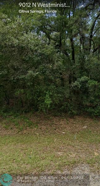 Details for 9012 Westminister Ave, Citrus Springs, FL 34434