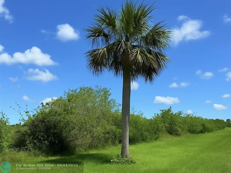 Details for 6617 26th Trl, Okeechobee, FL 34974
