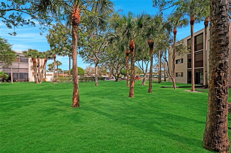 Image 24 of 47 For 5100 Las Verdes Cir  114