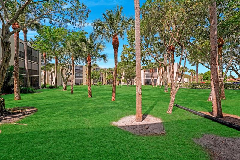 Image 25 of 47 For 5100 Las Verdes Cir  114