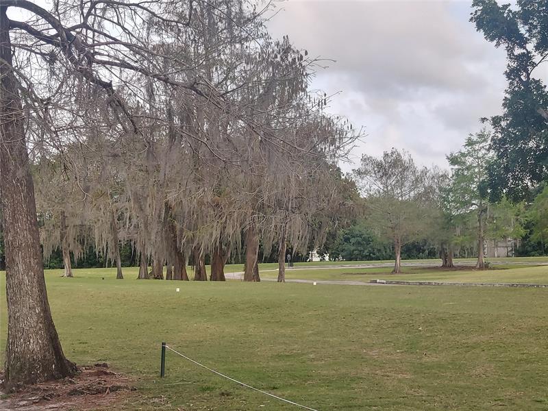 Image 24 of 24 For 8400 Lagos De Campo Blvd  209